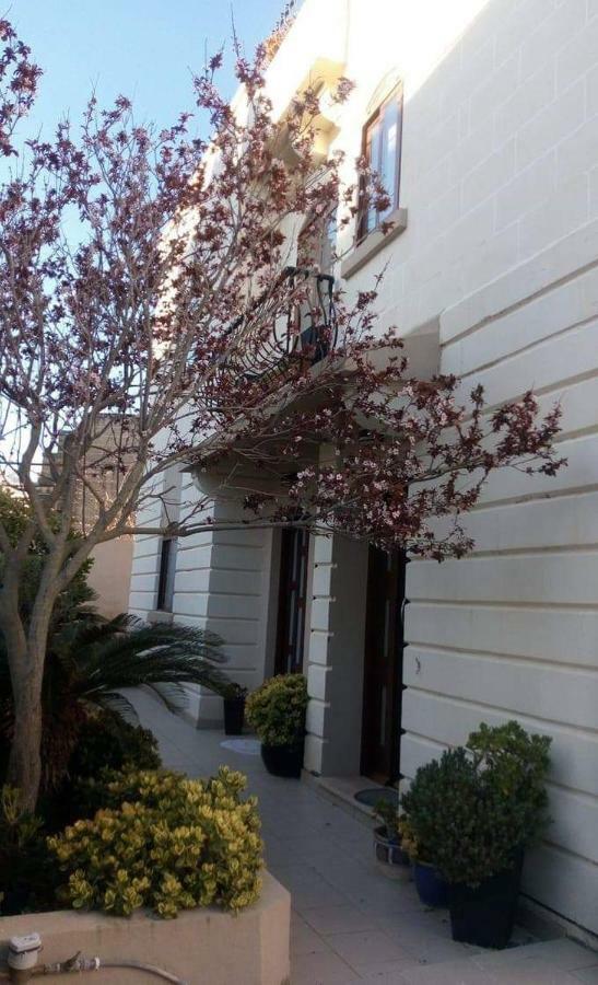 Homestay Naxxar Kültér fotó